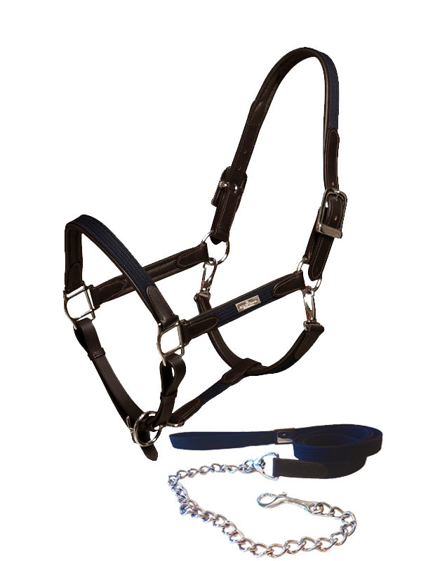 Leather Halter & Lead Chain Navy Silver vue 1