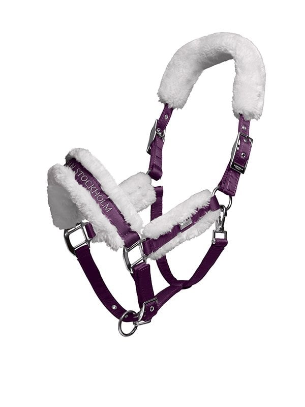 Fur Halter & Lead Rope Orchid Bloom vue 1