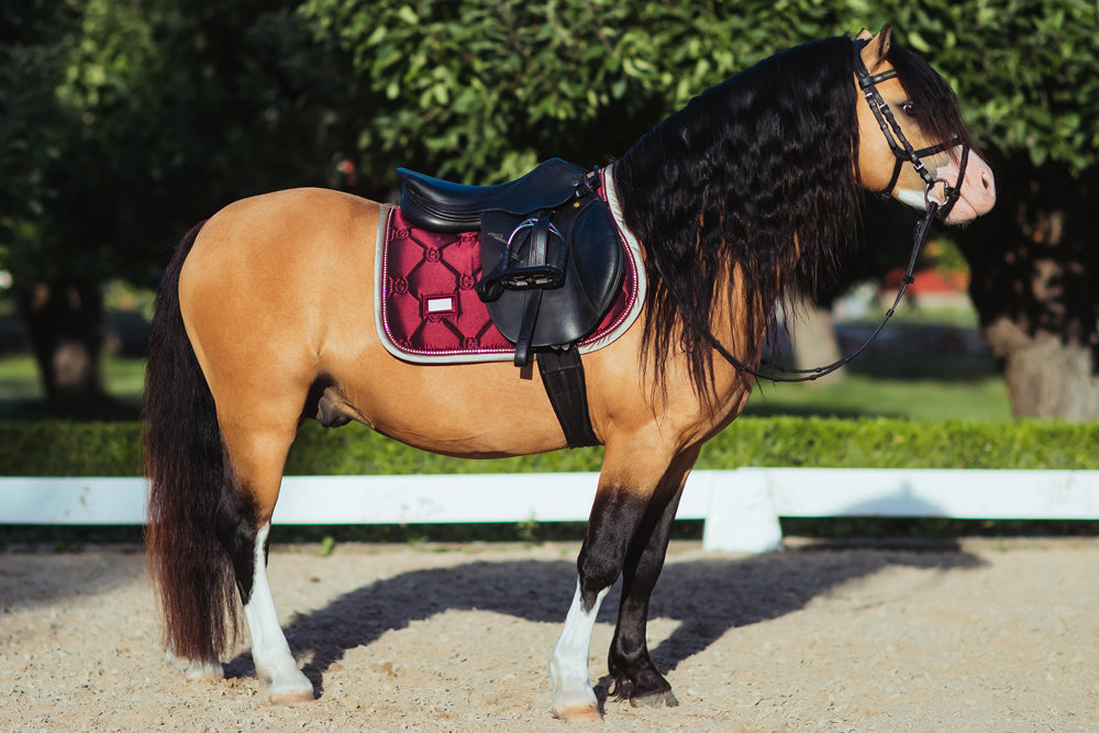 Dressage Saddle Pad Crystal Merlot Gold Cob vue 3