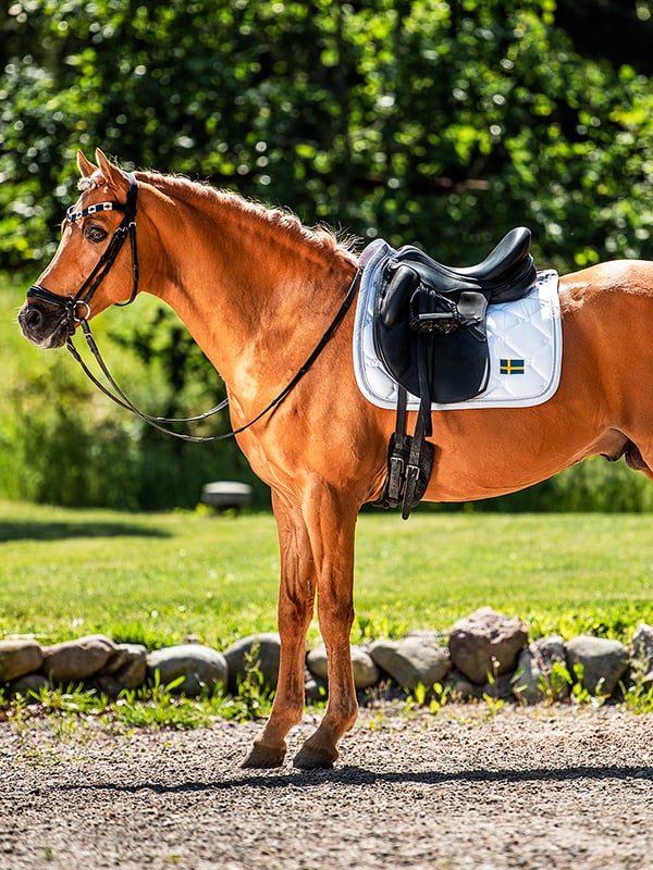 Dressage Saddle Pad Sweden Nation White Cob