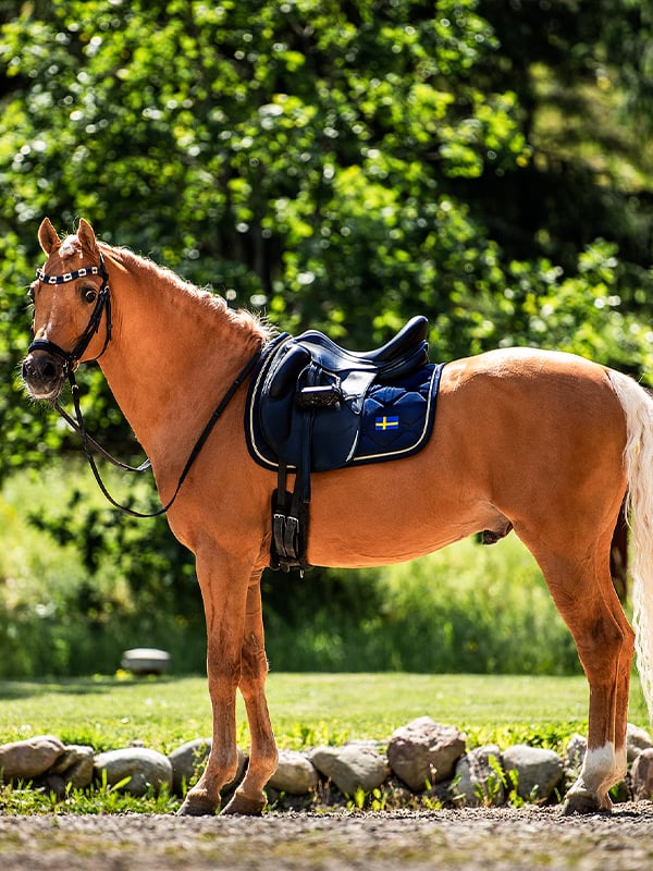 Dressage Saddle Pad Sweden Nation navy Cob vue 2