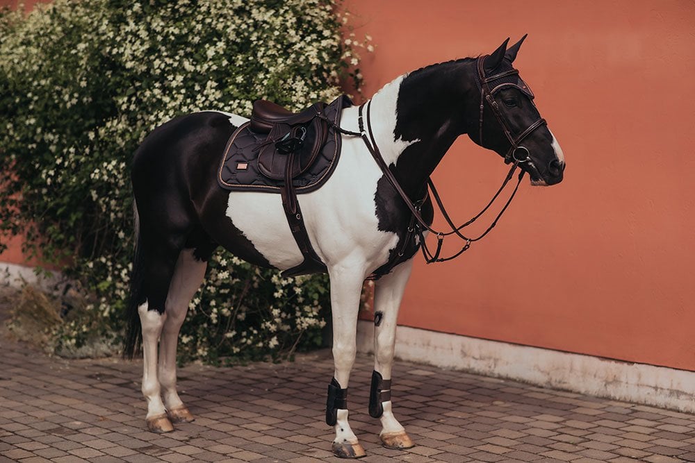Jump Saddle Pad Dark Sky Full vue 4