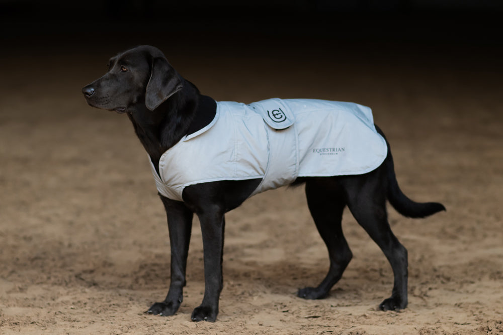 Reflective Dog Rug Luminous Black vue 3