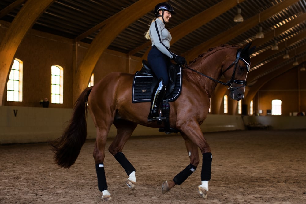 Dressage Saddle Pad Sportive Luminous Black Full