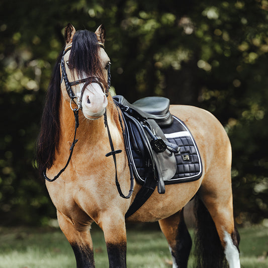 Jump Saddle Pad Sportive Luminous Black Pony