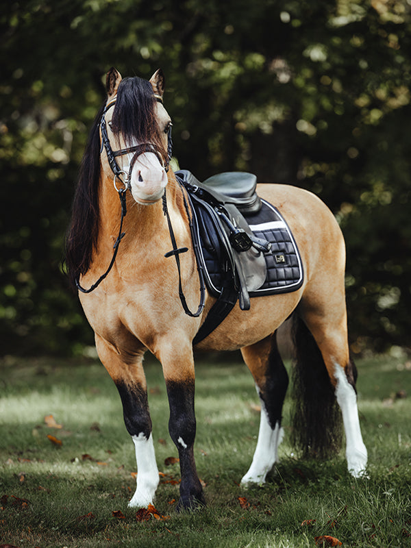 Jump Saddle Pad Sportive Luminous Black Pony vue 2