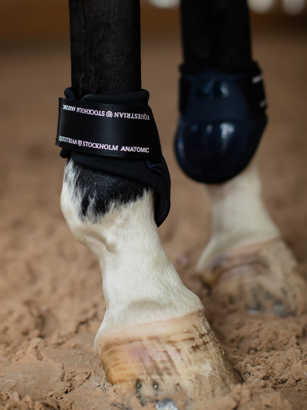Anatomic Fetlock Boots Modern Tech Navy vue 3