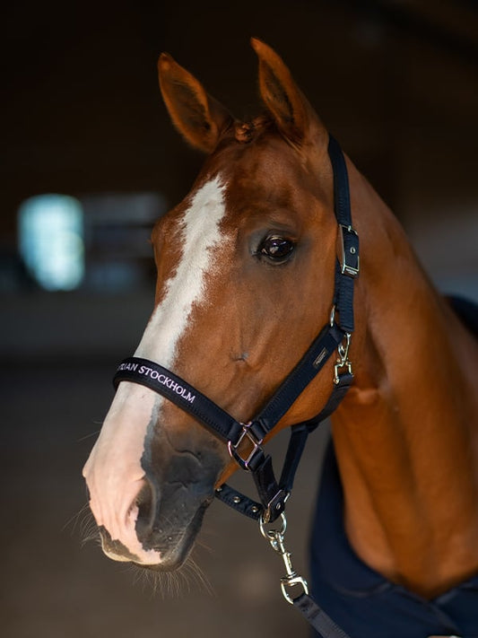 Clean Halter Modern Tech Navy
