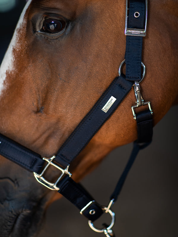 Clean Halter Modern Tech Navy vue 3