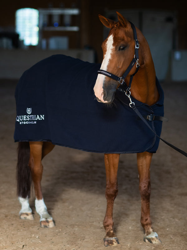 Wool Horse Blanket Modern Tech Navy