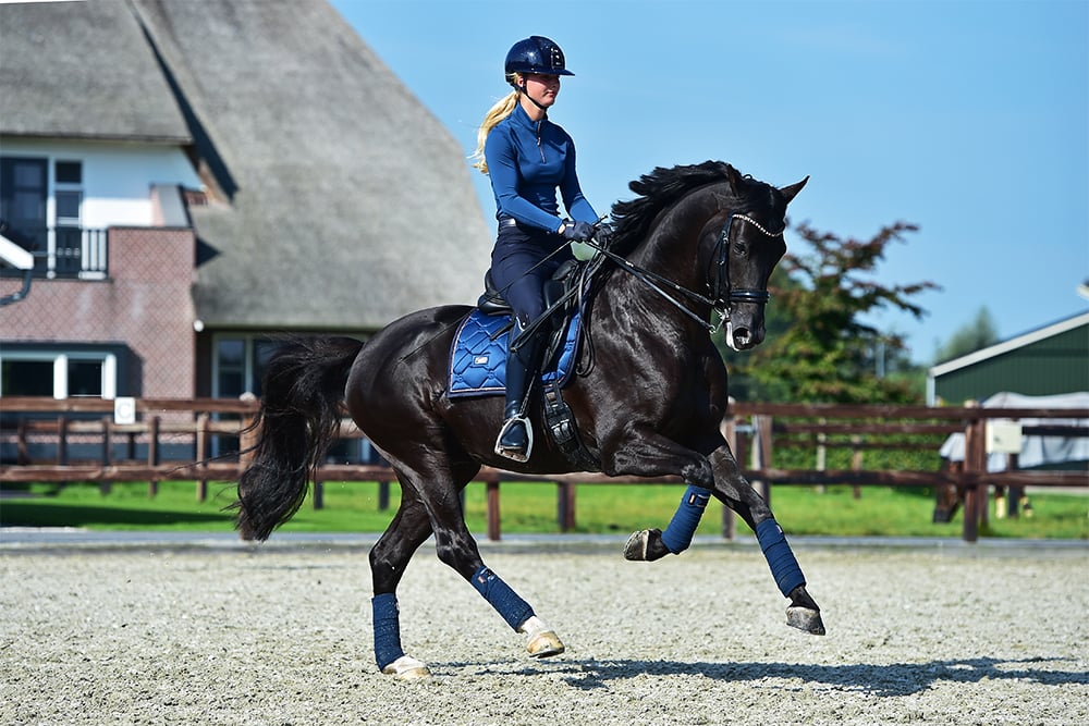 Dressage Saddle Pad Monaco Blue Full