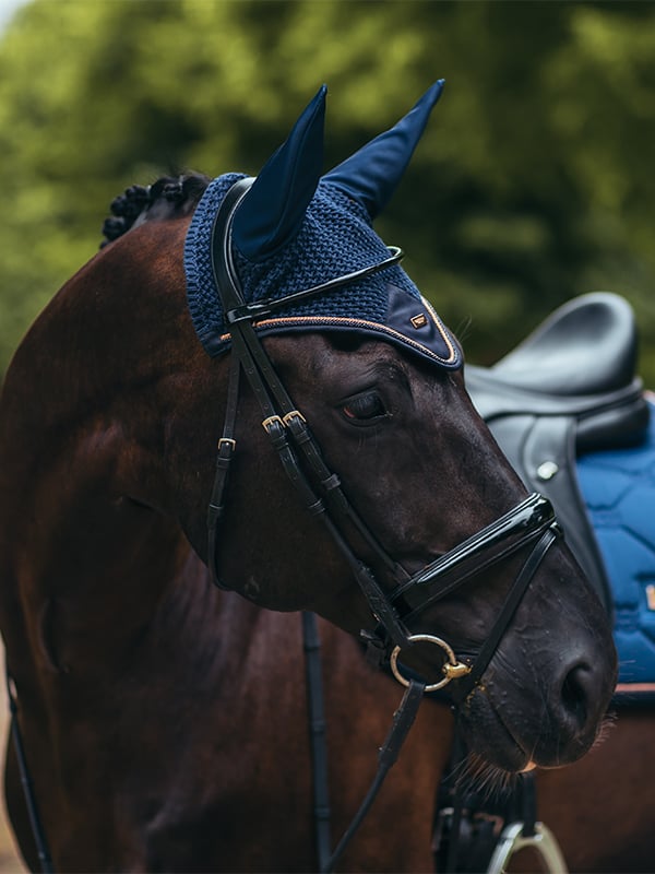Ear Bonnet Monaco Blue