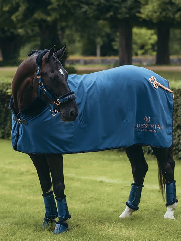 Fleece Blanket Fur Monaco Blue