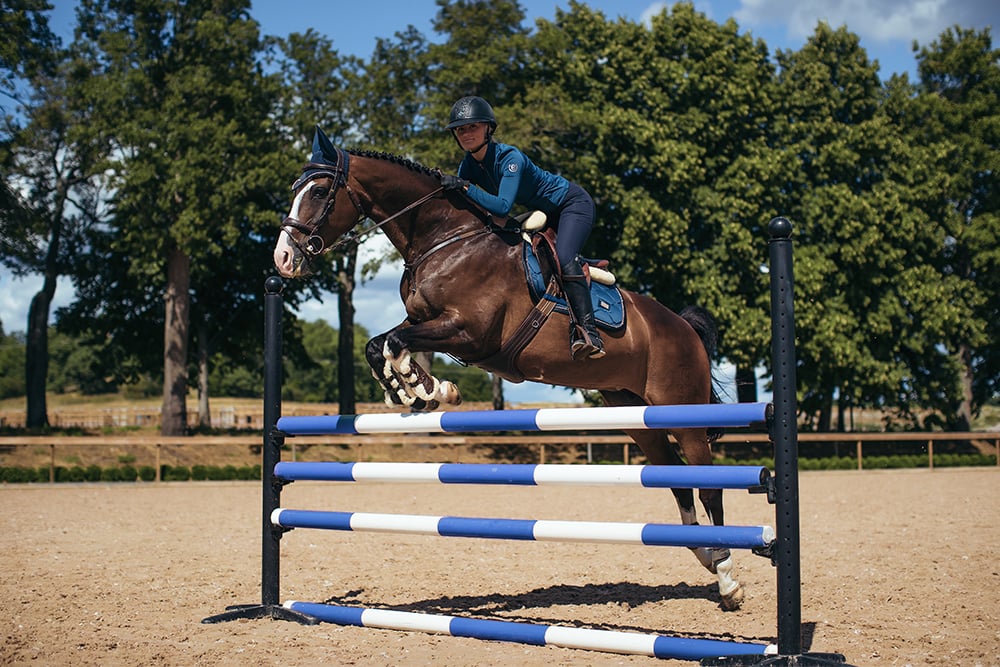 Riding Breeches Jump Elite Navy