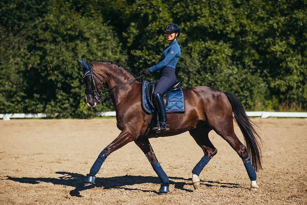 Riding Breeches Dressage Elite Navy vue 4