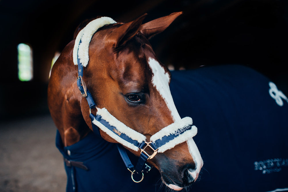 Fur Halter & Lead Rope Navy vue 5