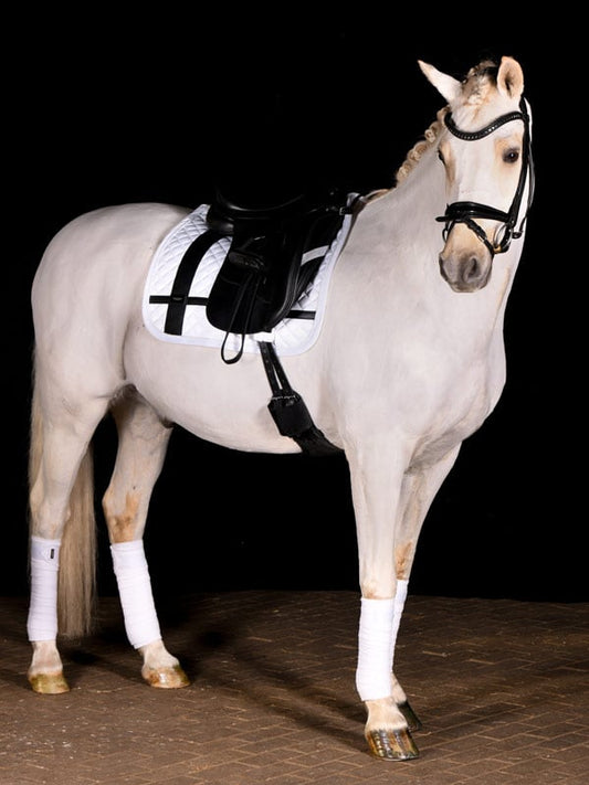 Dressage Saddle Pad No Boundaries White Cob