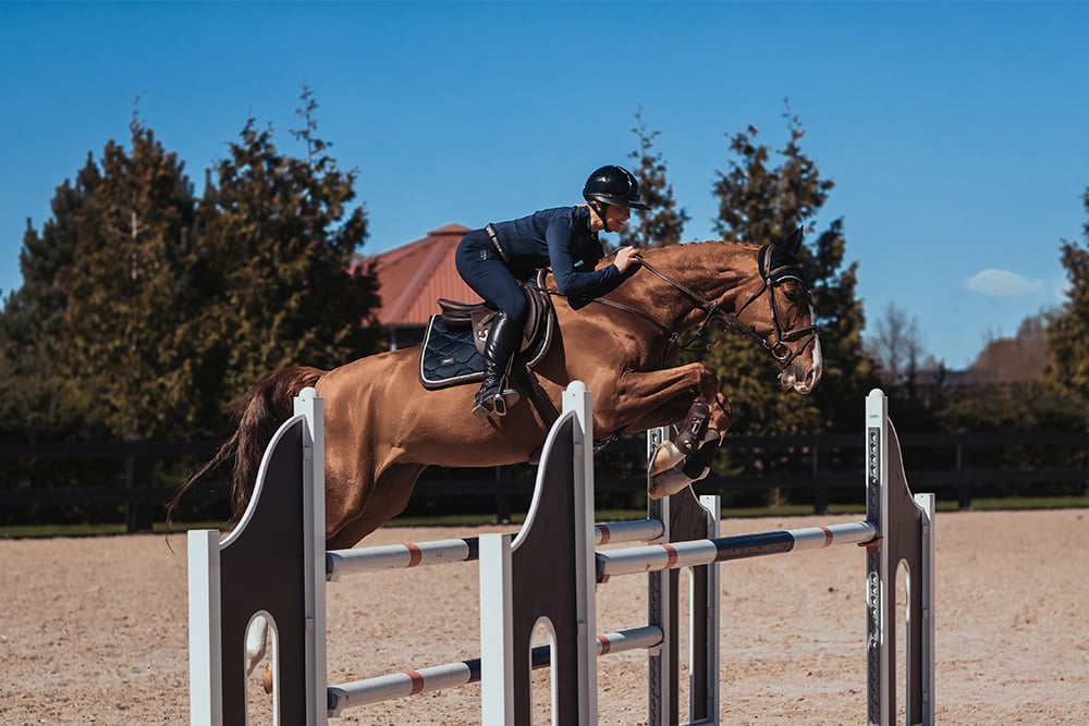 Jump Saddle Pad Royal Classic Full