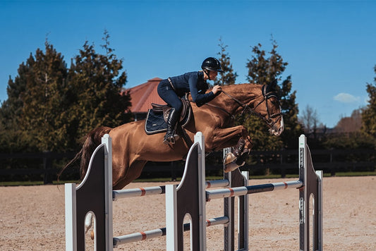 Jump Saddle Pad Royal Classic Full