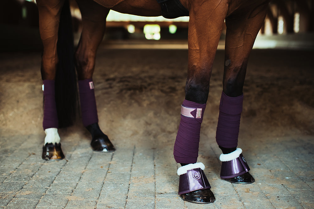 Polo Wraps Orchid Bloom