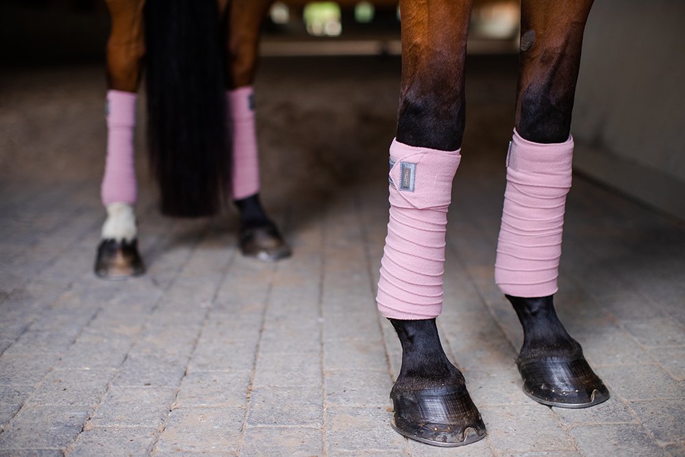 Polo Wraps Pink Crystal vue 3