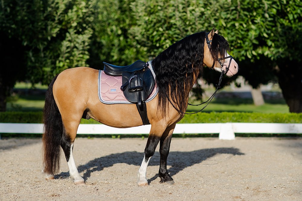Jump Saddle Pad Pink Crystal Pony vue 3
