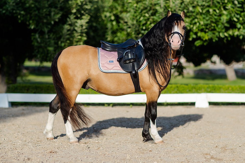 Jump Saddle Pad Pink Crystal Pony