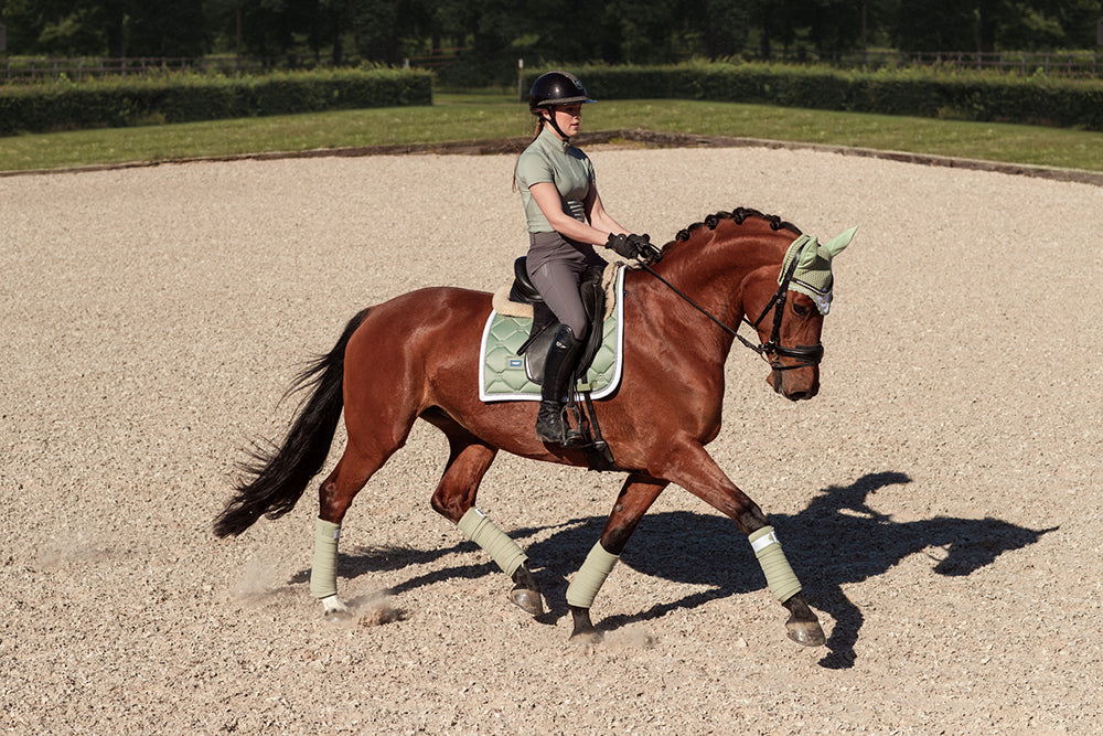 Dressage Saddle Pad Pistachio White Full