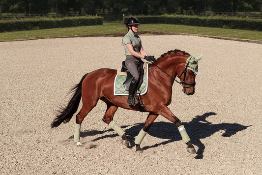 Dressage Saddle Pad Pistachio White Full