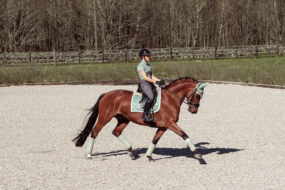 Dressage Saddle Pad Pistachio White Full