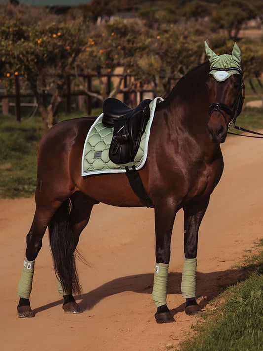 Dressage Saddle Pad Pistachio White Full