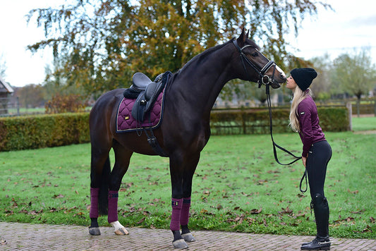 Polo Wraps Purple Gold