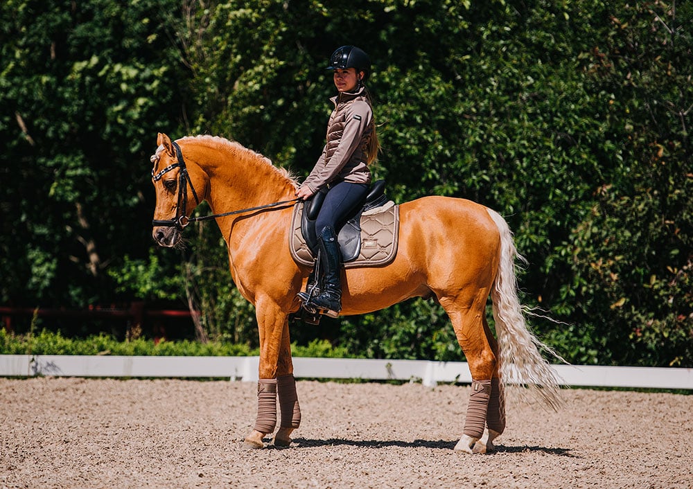 Dressage Saddle Pad Champagne Cob