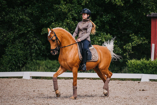 Dressage Saddle Pad Champagne Cob