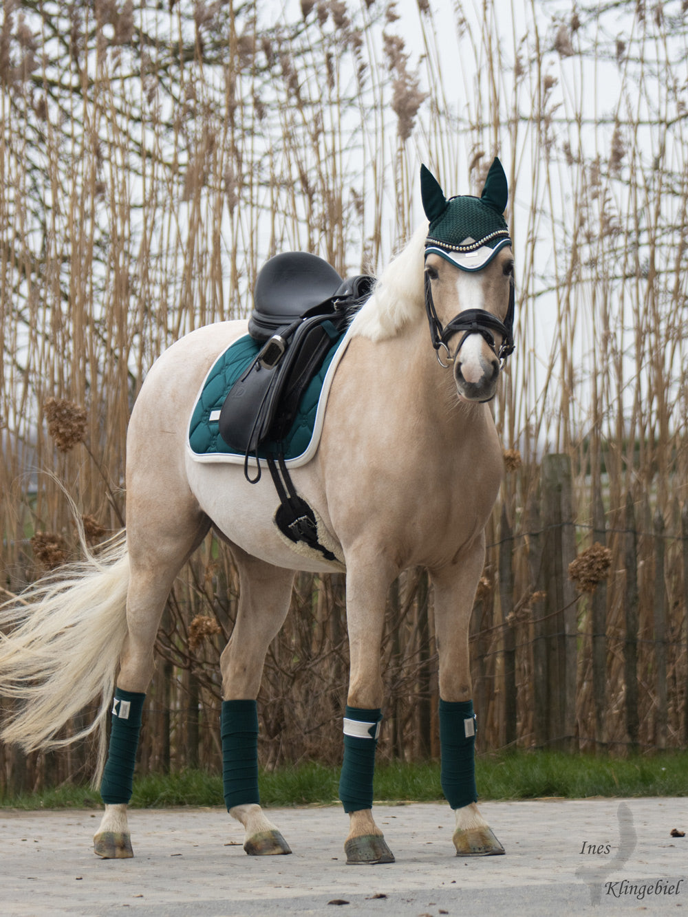 Polo Wraps Emerald Amazonite vue 4