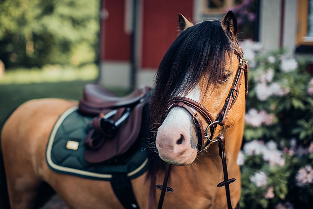 Jump Saddle Pad Forest Green Pony