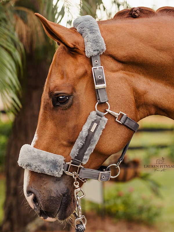 Fur Halter & Lead Rope Silver Cloud