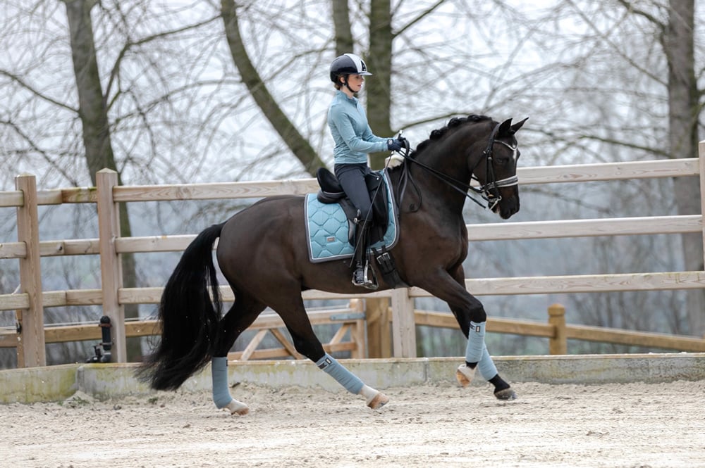 Dressage Saddle Pad Steel Blue Full vue 6