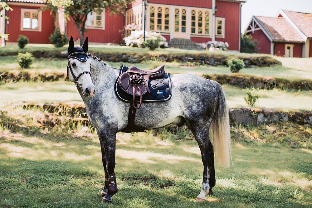 Jump Saddle Pad Sweden Nation navy Full