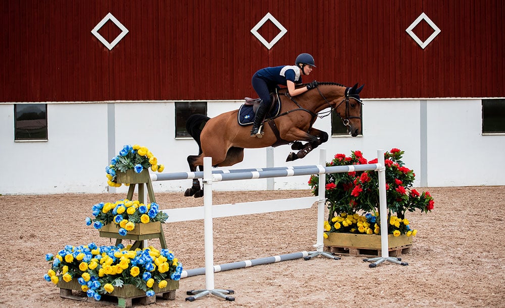 Jump Saddle Pad Sweden Nation navy Full vue 5