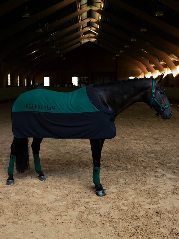Fleece Blanket Sycamore Green vue 2