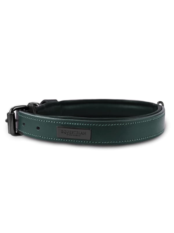 Dog Collar Clean Sycamore Green vue 1