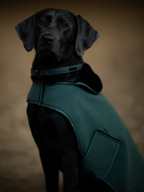 Dog Rug Sycamore Green