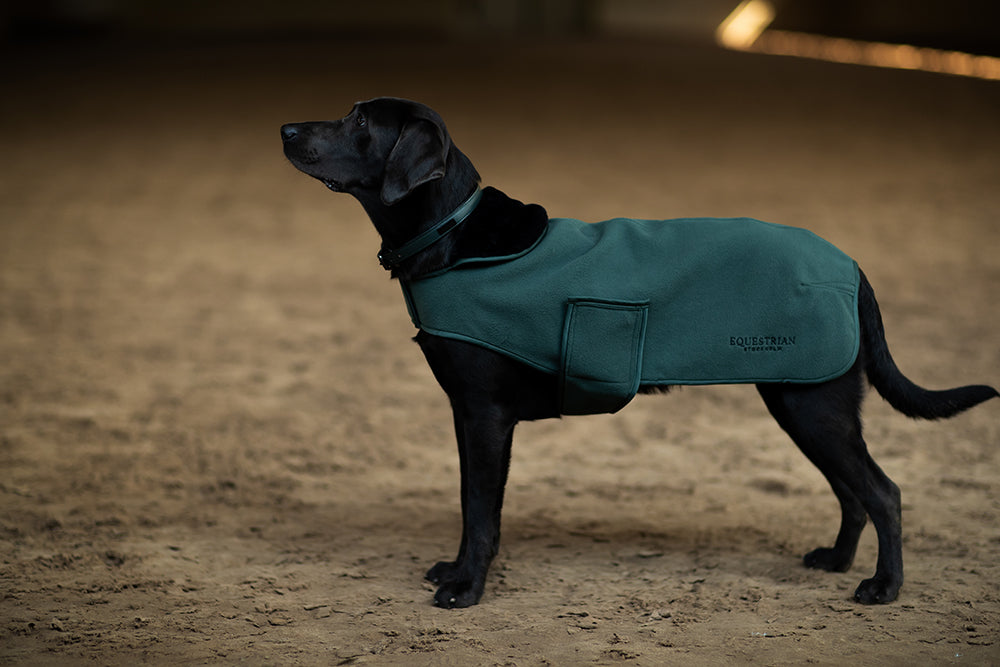 Dog Rug Sycamore Green vue 3