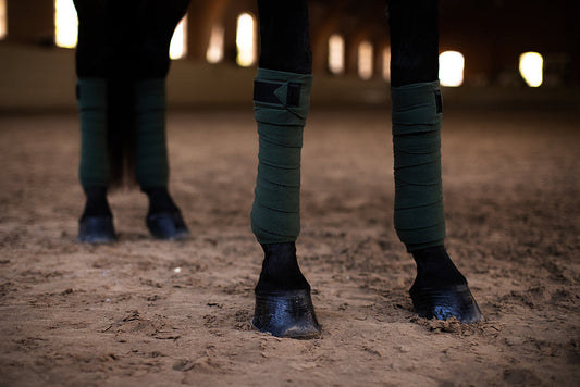 Polo Wraps Sycamore Green