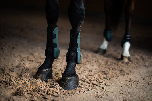 Anatomic Tendon Boots Sycamore Green