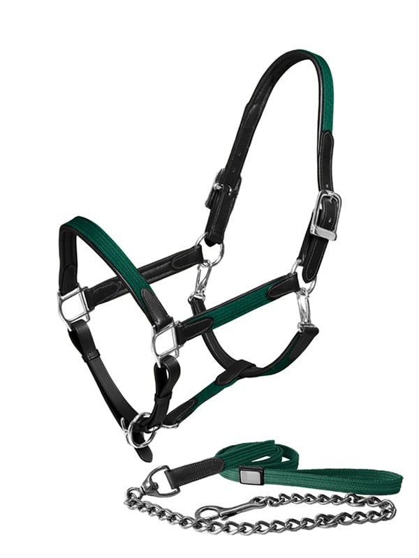Leather Halter & Lead Rope Sycamore Green vue 1