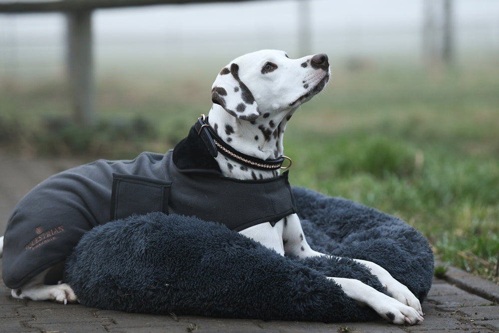 Dog Bed Dark Sky vue 3