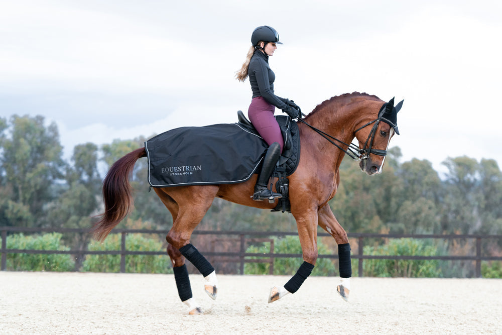 Exercise Blanket Total Eclipse