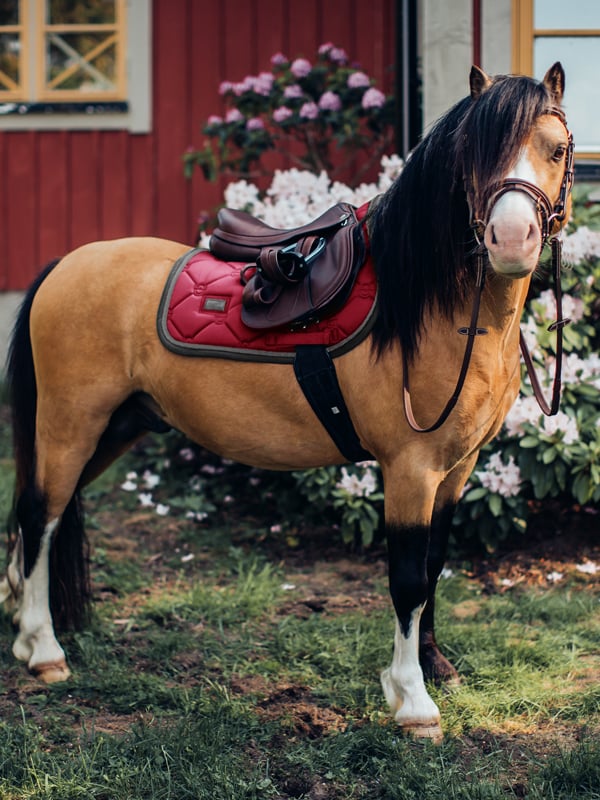 Jump Saddle Pad Wild Rose Pony vue 2